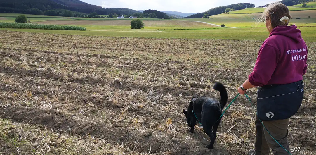 Titelbild - Oben oder unten - wo gehört die Fährtenleine hin
