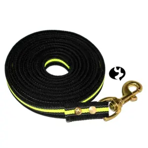 5m gummierte Gurtband-Leine in 20mm mit Messing mittelfest Produktbild