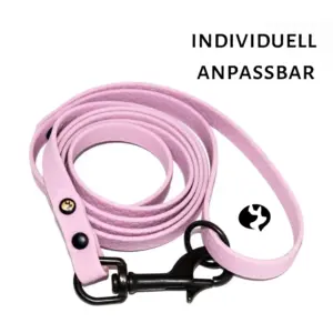 1,5m Führleine 13mm aus wasserfestem Gurtband Hexa