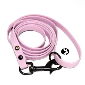 1,5m Führleine 13mm aus wasserfestem Gurtband Hexa mit Schlaufe, Ring und Edelstahl schwarz