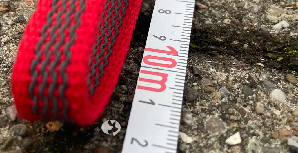 Die Fährtenleine 10m im Praxistest