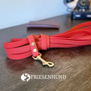 5m Hexa-Fährtenleine 16mm mit Messing - Friesenhund by Maja Röll