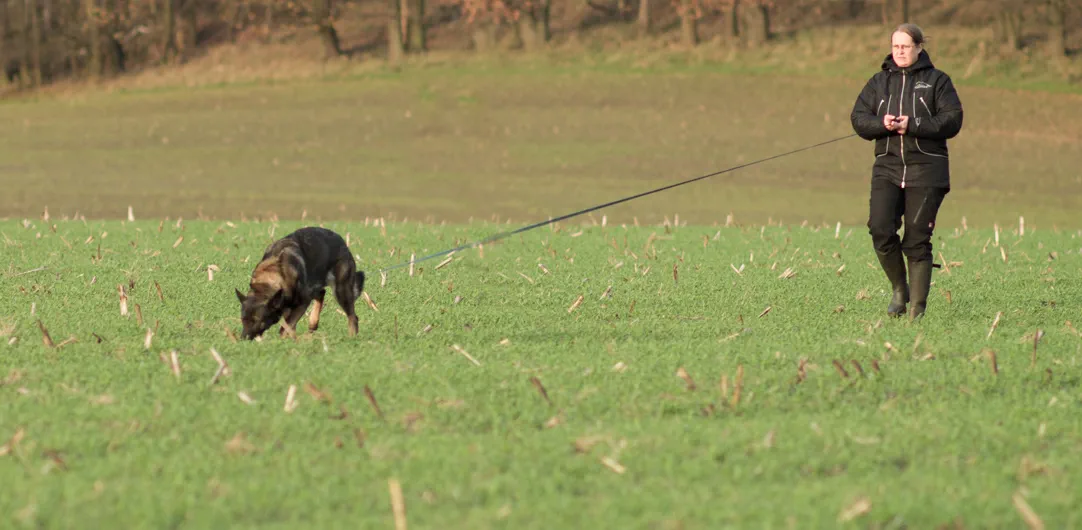 Fährtenleine 5 m oder 10 m – welche Leinenlänge brauche ich wann in IGP und IFH?