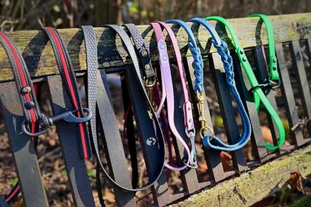 Friesenhund Führleinen