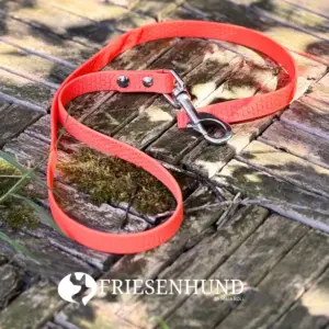 1m Hexa-Führleine 16mm mit Edelstahl liegt auf dem Boden