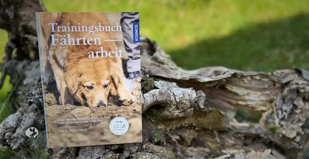 Trainingsbuch Fährtenarbeit Fallscheer auf einer alten Baumwurzel fotografiert