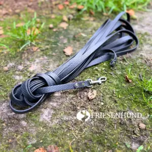 10m Hexa-Fährtenleine 13mm mit Zinkdruckguss