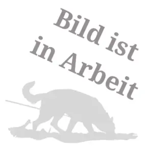 10m Biothane-Fährtenleine 13mm mit Alu-Sicherheitskarabiner - Platzhalter