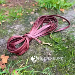10m Biothane-Fährtenleine 13mm mit Messing