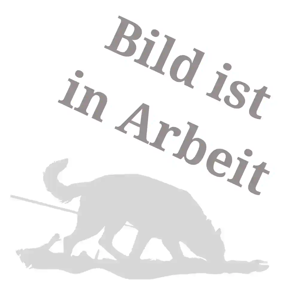 10m Biothane-Fährtenleine 13mm mit Zinkdruckguss - Platzhalter für Produktbild