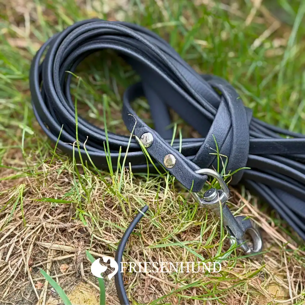 10m Fährtenleine Biothane Beta Standard 9mm Schwarz mit Edelstahl und glattem Ende
