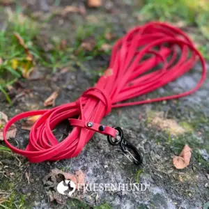 10m Biothane-Fährtenleine 9mm mit Alu-Sicherheitskarabiner