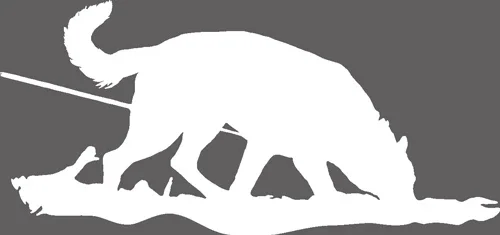 Silhouette von Düse beim Fährten