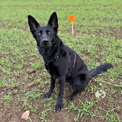 Genya wartet am Abgang auf ihre Suche