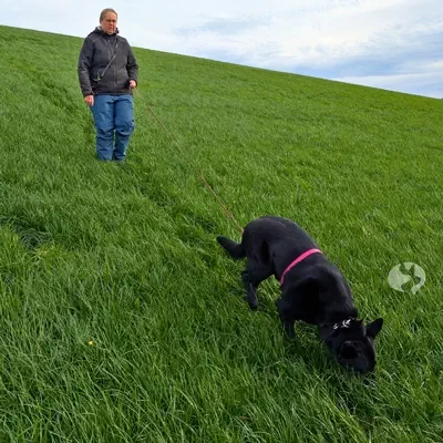 Fährtenwoche bei Martin Rodzoch