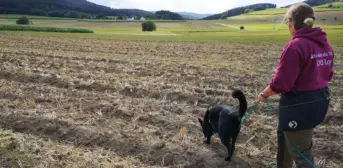 Titelbild - Oben oder unten - wo gehört die Fährtenleine hin