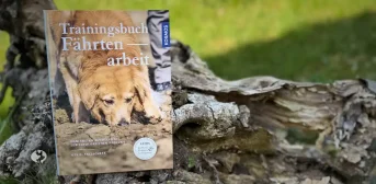 Trainingsbuch Fährtenarbeit Fallscheer auf einer alten Baumwurzel fotografiert