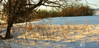 Was muss ich beim Fährten im Winter beachten?