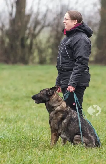 der-ultimative-Friesenhund-Fährtenleinen-Guide-Pokalkampf der-ultimative-Friesenhund-Fährtenleinen-Guide-Pokalkampf