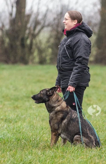 der-ultimative-Friesenhund-Fährtenleinen-Guide-Pokalkampf