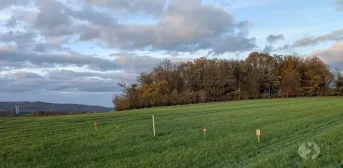 Eine Woche Fährtenarbeit mit Martin Rodzoch – unterwegs mit Genya im Sauerland
